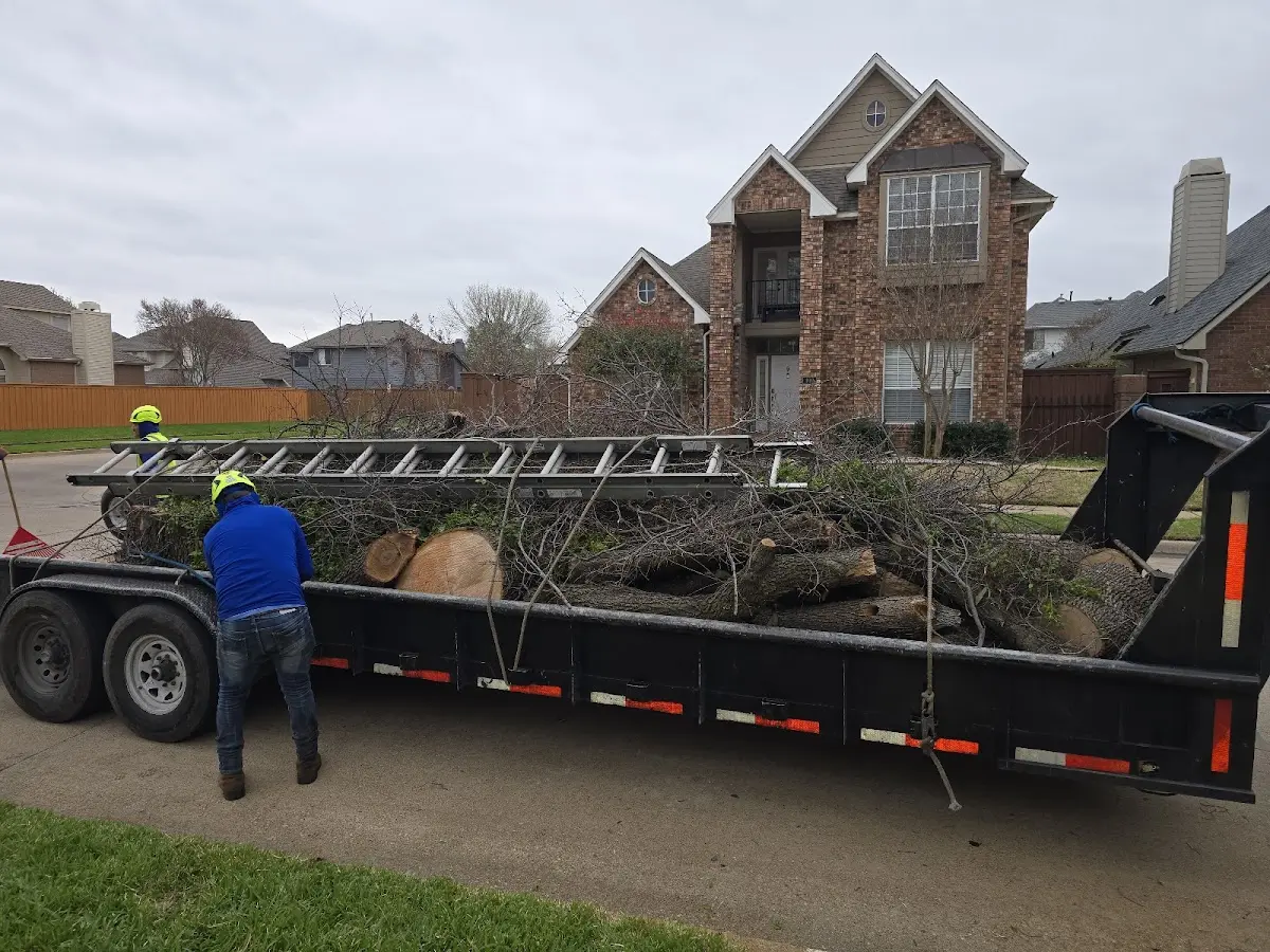 Expert Lot Clearing with proper safety equipment in Brandon